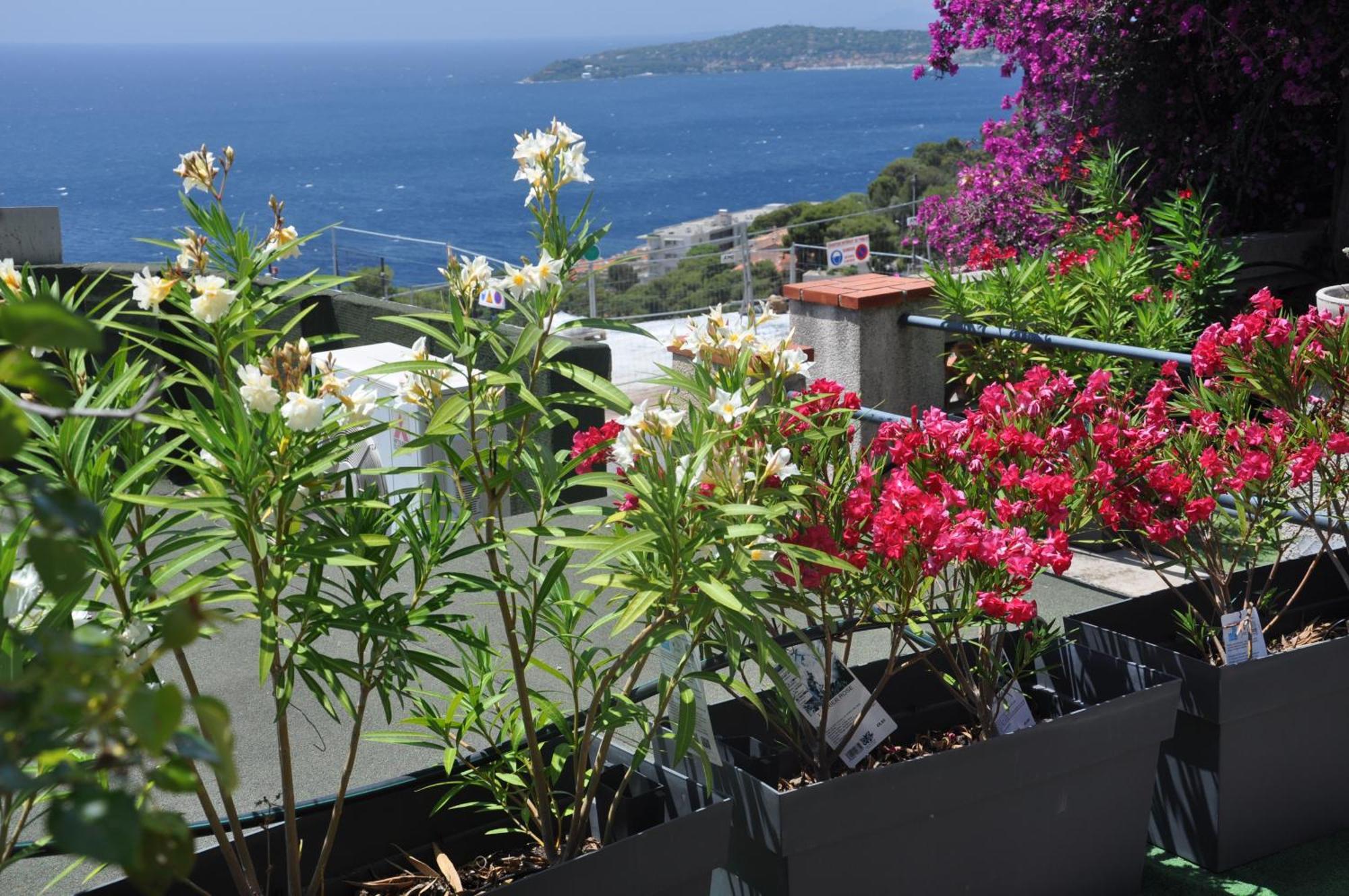 Skyline Apartments Cap-d'Ail Bagian luar foto
