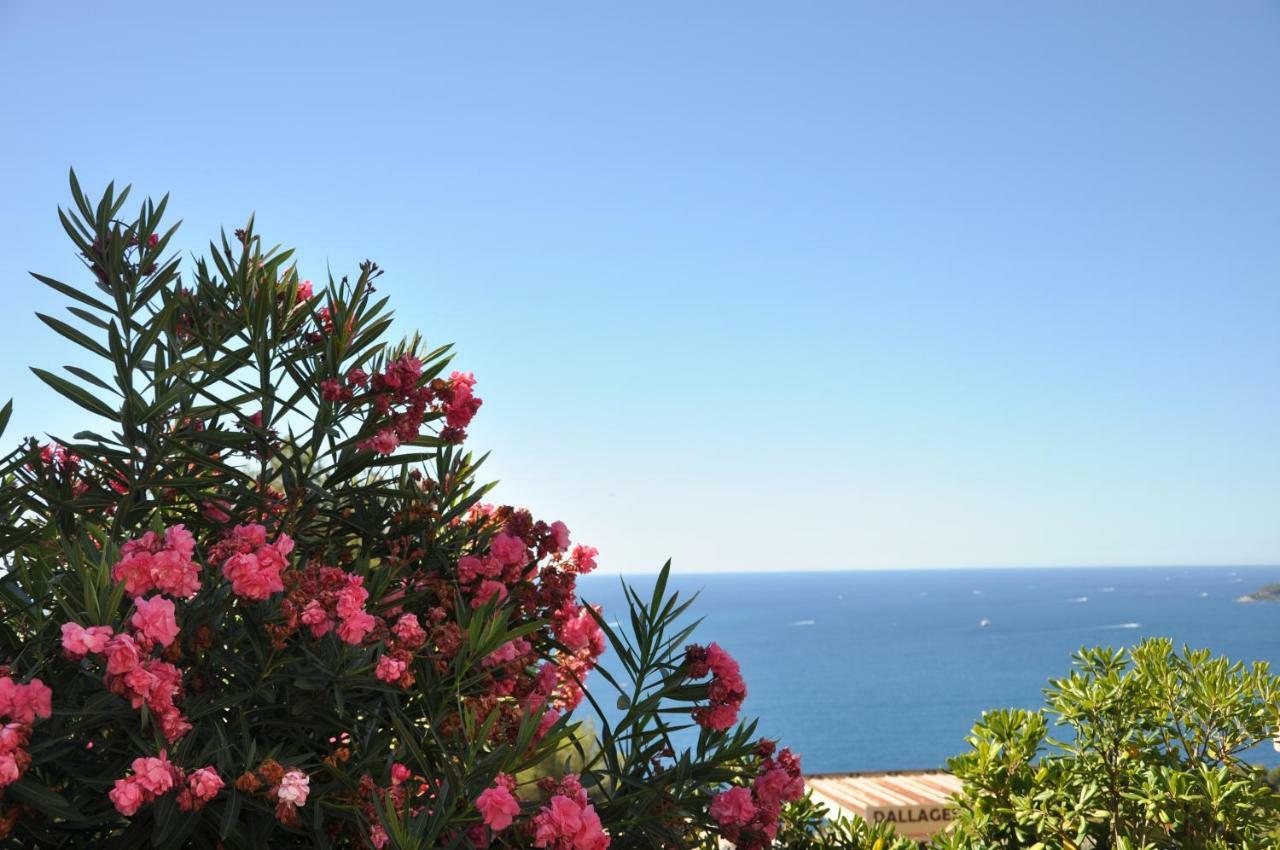 Skyline Apartments Cap-d'Ail Bagian luar foto